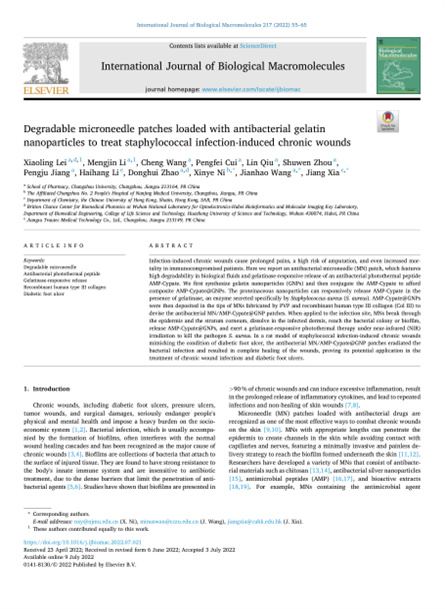 2022 動物研究,重組膠原微針,用于慢性傷口